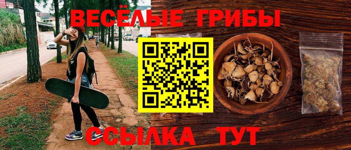 Псилоцибиновые грибы GOLDEN TEACHER  Вход с VPN  Изобильный 